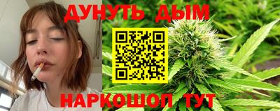 бошки Будённовск