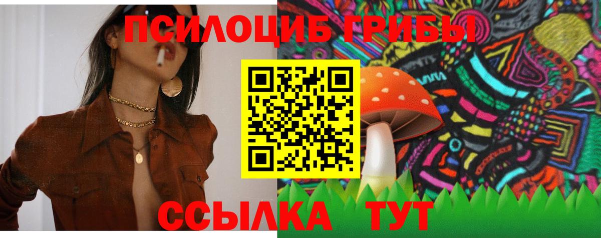 Озёры  Псилоцибиновые грибы MAGIC MUSHROOMS  Вход с VPN 