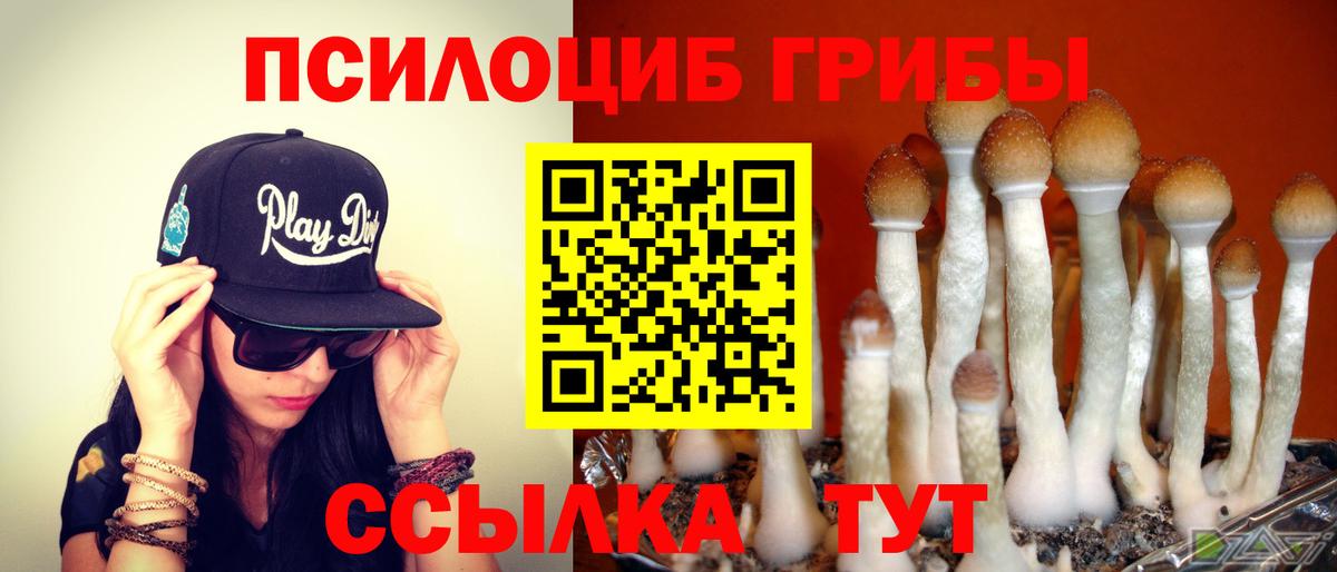 Галлюциногенные грибы прущие грибы Озёры